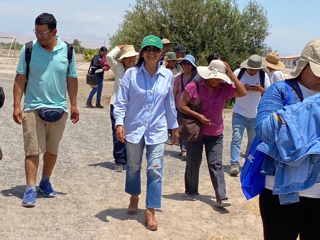 Tema: “ Demostración práctica de acciones olivícolas para mitigar efectos del Fenómeno del Niño”